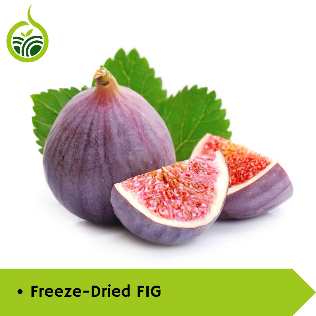Discover the Magic of Freeze-Dried Figs: A Nutrient-Rich Delight for Health-Conscious Indians