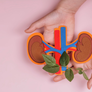 Reclaiming Life: How Urological Surgery at Shree Hospital Can Transform Your Well-being