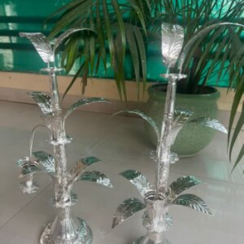 Embrace Prosperity with Dream Attire's Auspicious Banana Tree - A Symbol of Abundance