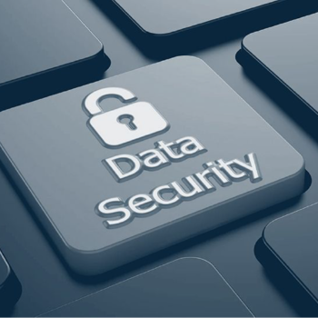 Safeguard Your Data: An Essential Guide for Indian Businesses