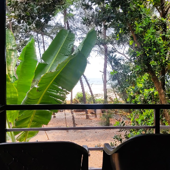 Escape to Serenity: Discover Nestle Sahyadri Beachfront Homestay