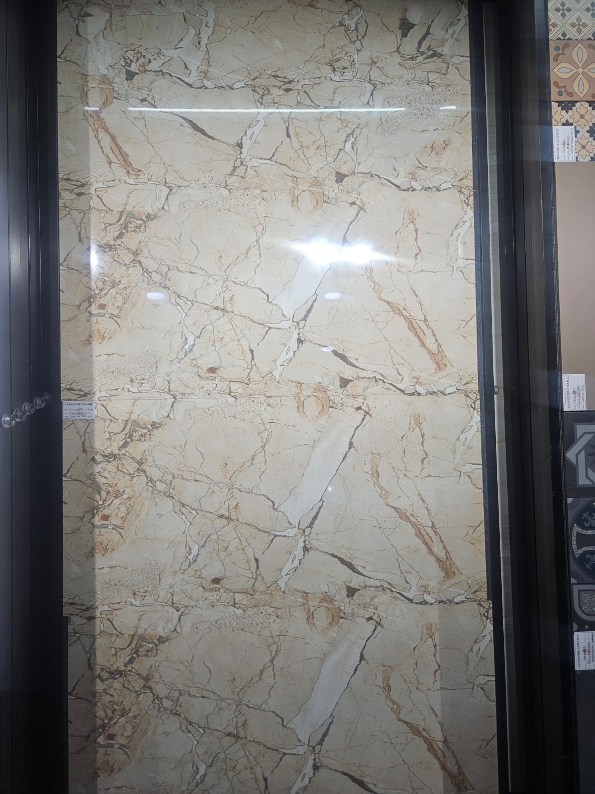 Transform Your Space with Tannushree Ceramic Tiles: A Tale of Style and Substance