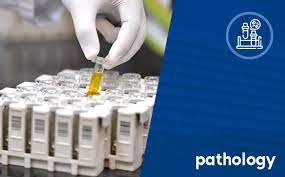 Empowering Health: The Life-Changing Role of Balaji Pathology Lab