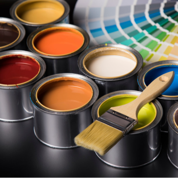 Transform Your Space: How Premium Paint Textures Address Riya's Home Makeover Dilemma