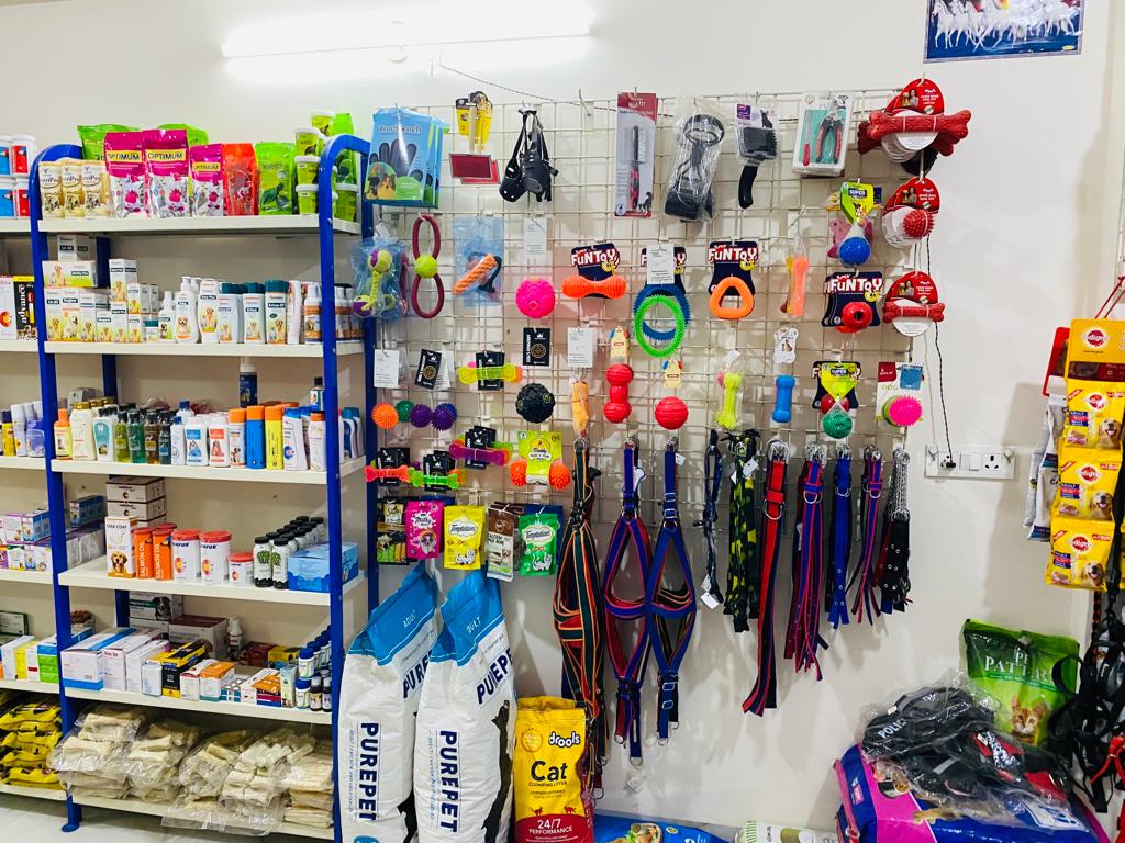 How Happy Paw Pet Shop's Accessories Transformed Sneha's Pet-Care Routine