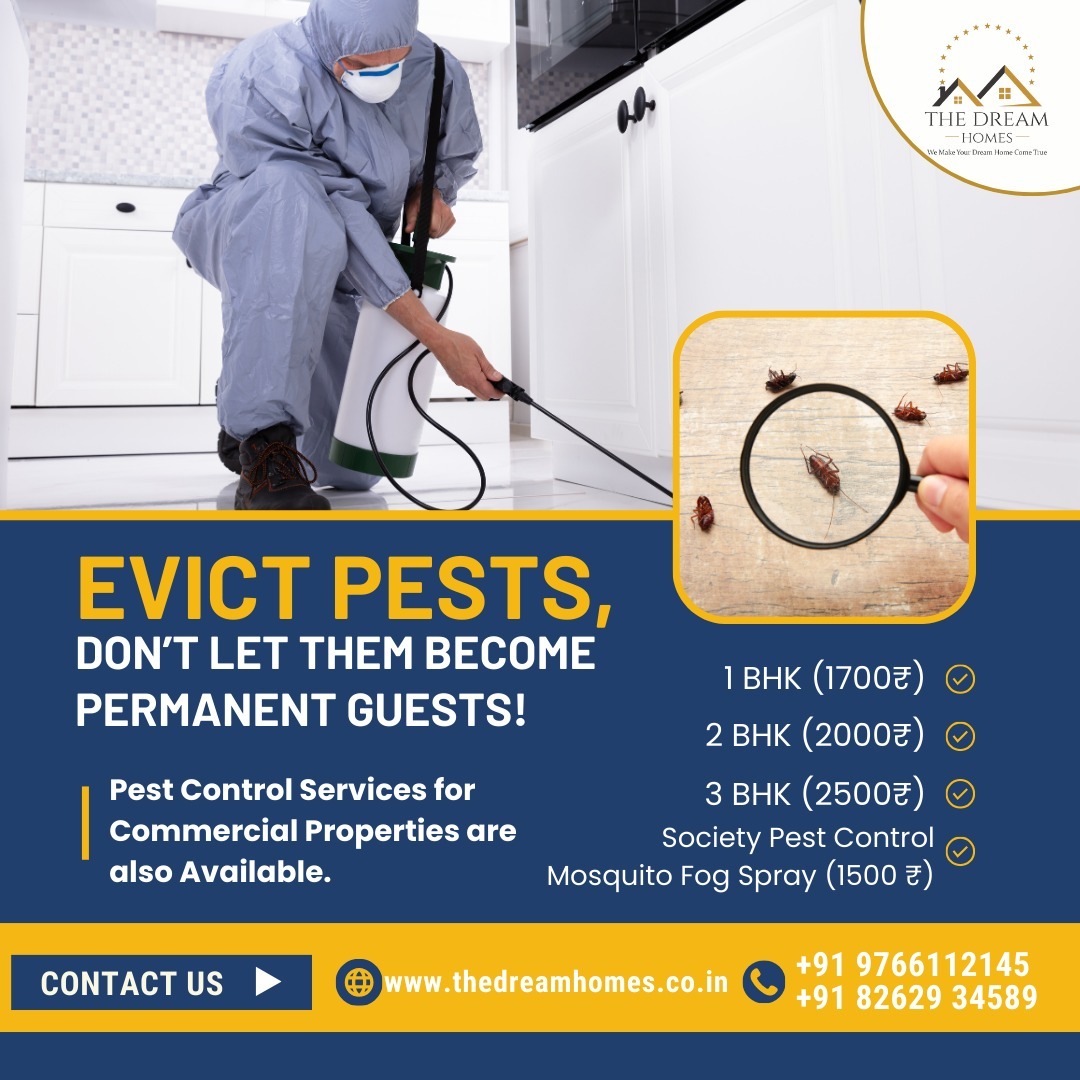 From Infestation to Liberation: How Pest Control Transformed the Sharma Family's Home