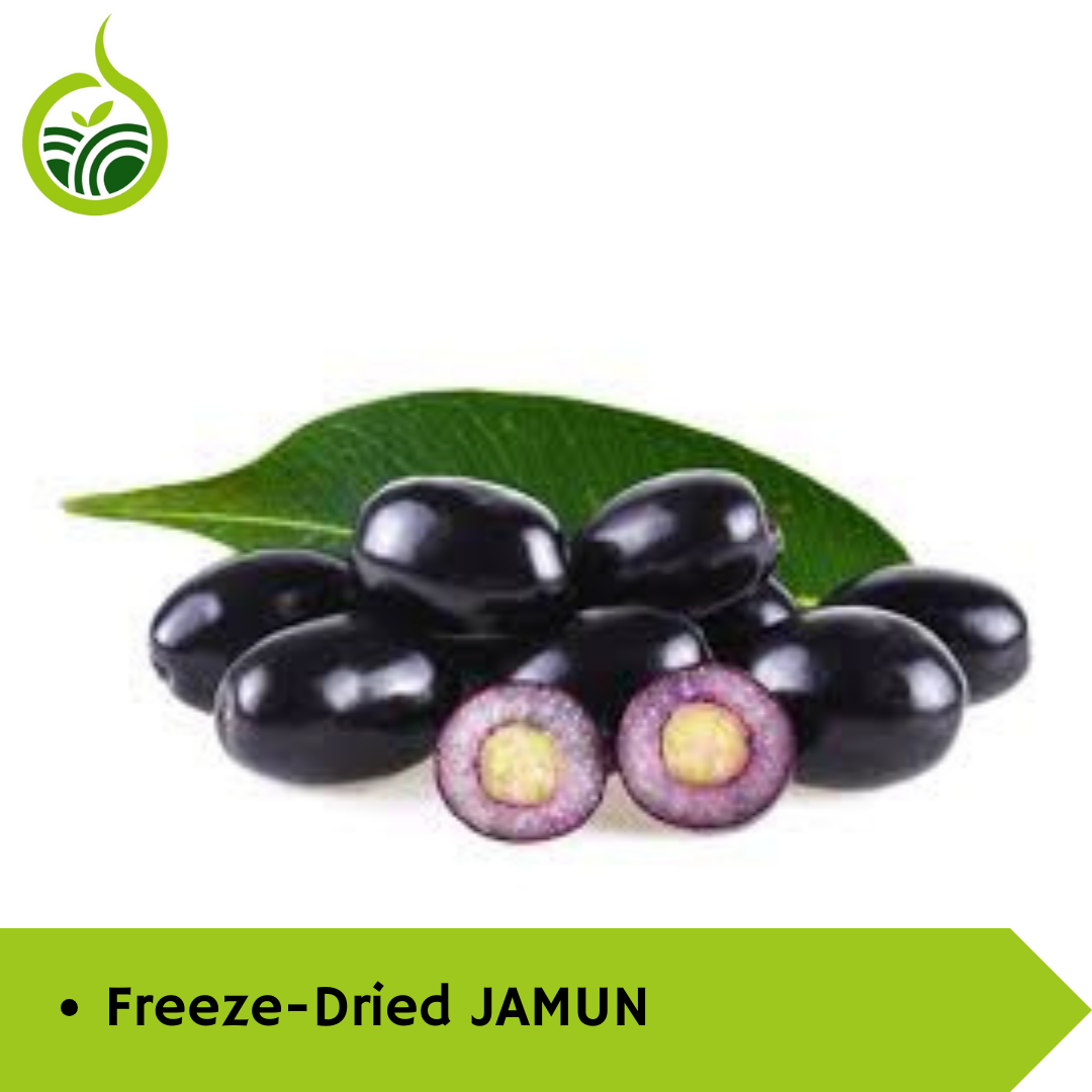 Transform Your Health with Freeze-Dried Jamun: A Sweet Solution for Diabetics