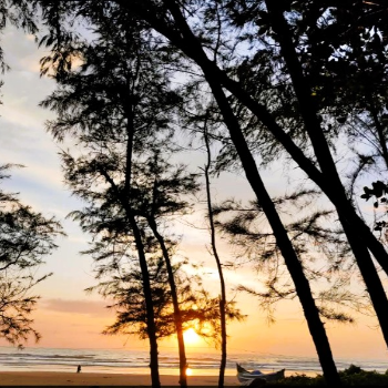 Unwind at Nestle Sahyadri Beachfront Homestay: Your Evening Retreat