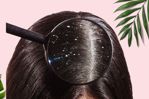 A New Dawn for Your Hair: How The Hair Engineer Salon Transforms Lives