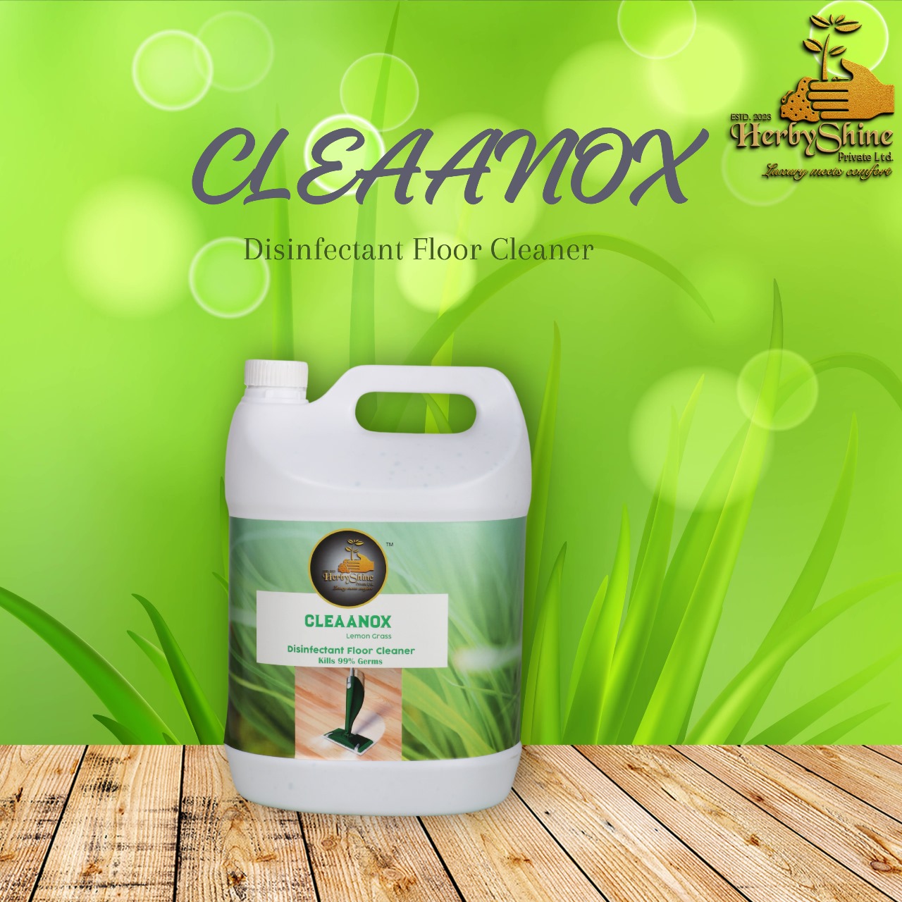 Transform Your Home: How Cleaanox Lemongrass Disinfectant Changed Priya’s Cleaning Routine | Herby shine