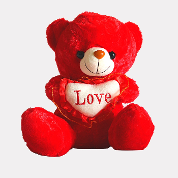 The Heartfelt Gift: How a Teddy Bear Solved Meera's Dilemma