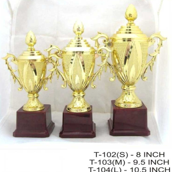 Celebrating Achievements: How Deekshita Enterprises' Wooden Trophies Make a Difference