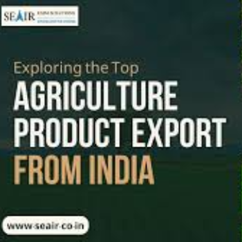 agri.product | Patidar Export