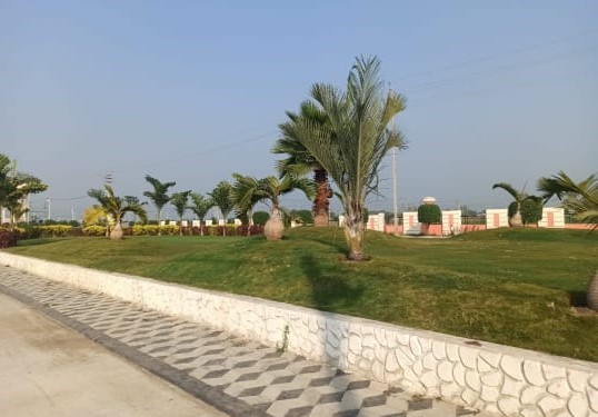 Finding Serenity in the Heart of the City: The Paras Park Promise