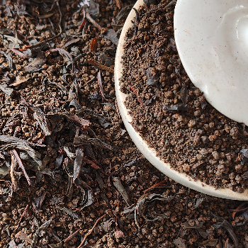 The Heartwarming Blend: A Family Mixture Tea That Unites Generations