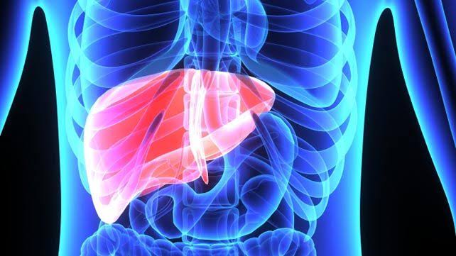Transforming Lives: How Liver Function Tests Empower Health Awareness