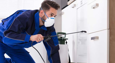 Transform Your Home with Expert Pest Control and Cleaning Services