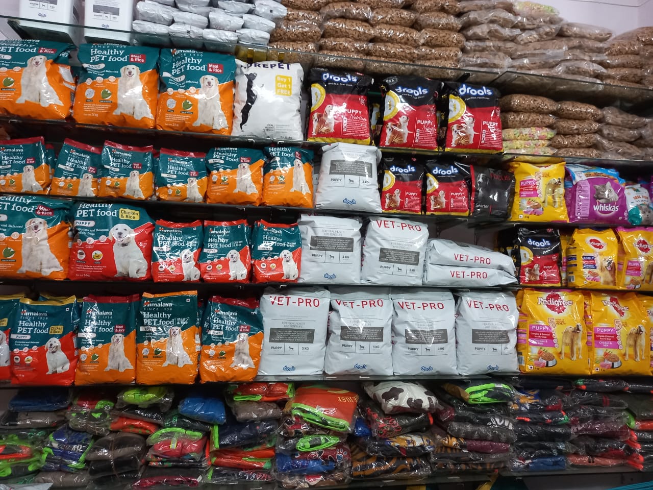 Nurturing Paws: How Tanwar Pet Hospital’s Pet Food Transforms Furry Lives