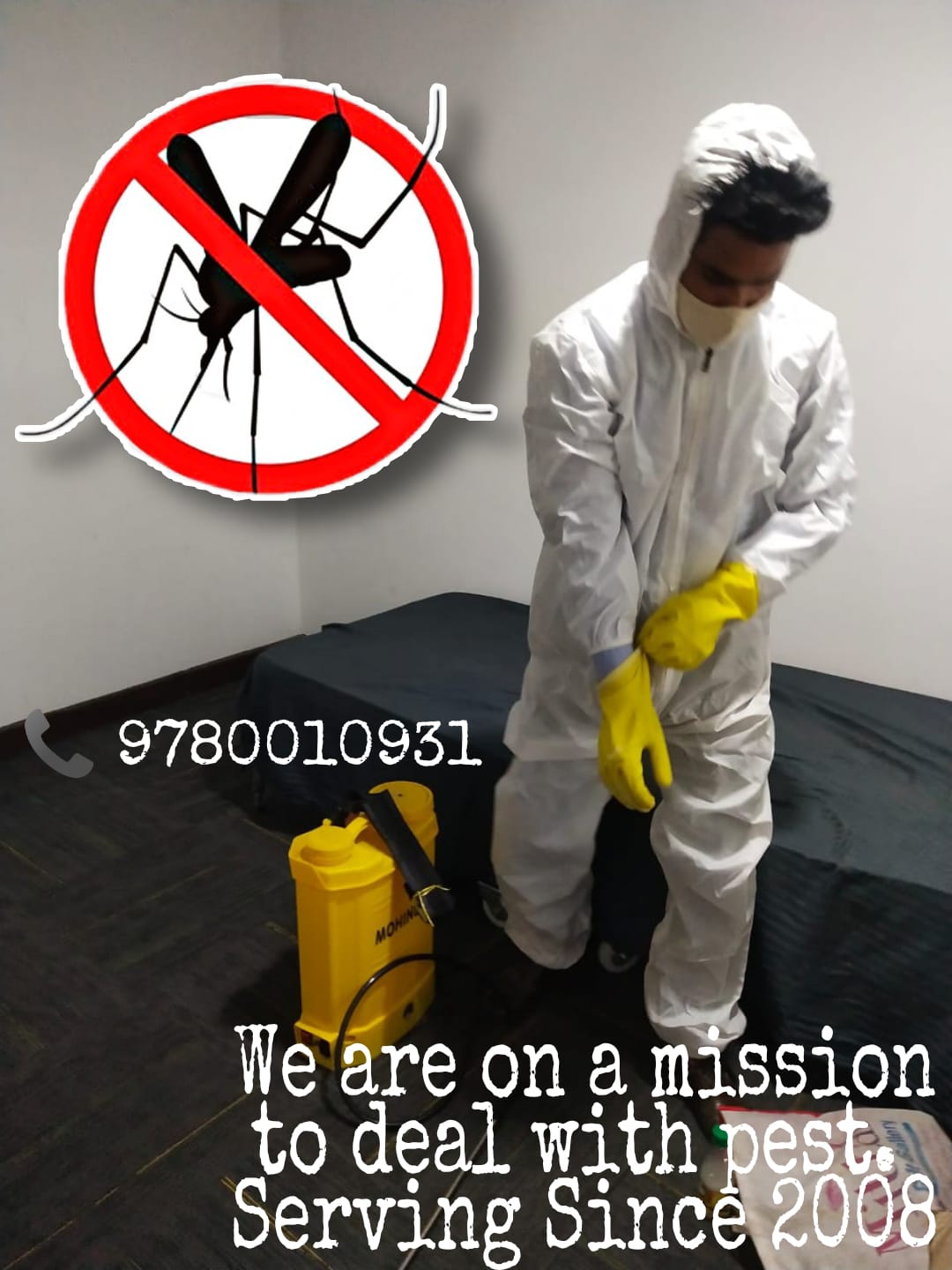 Protecting Your Home: The Ultimate Termite Control Solution for Indian Homeowners