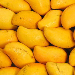 The Sweet Taste of Success: How Mangos Transformed Ramesh's Business