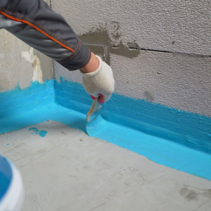 Transforming Homes: How Reliable Waterproofing Solutions Solved Priya’s Biggest Worry