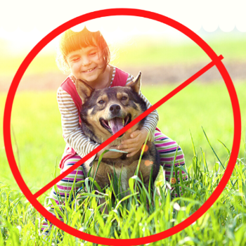 A Safe Haven: Protecting Your Family with Expert Pest Control