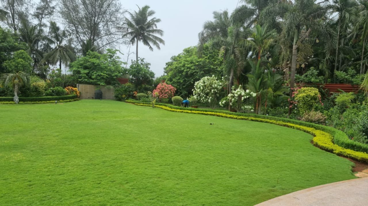 Transforming Dreams into Reality: How Expert Garden Development Solves Ramesh’s Landscaping Challenges