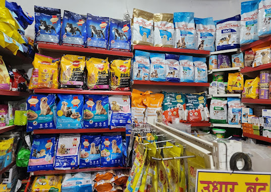 Nourishing Bonds: How Quality Pet Food Transforms Lives