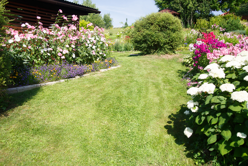 Transform Your Garden Dreams into Reality with Mahalaxmi Nursery's Expert Guidance