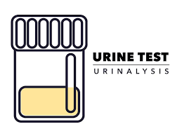 Aashna's Journey: Finding Health and Peace with Home Urine Routine Tests