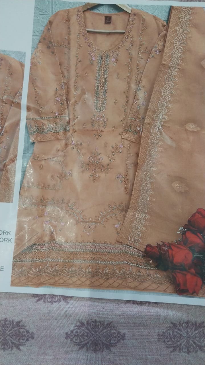 Embrace Elegance: The Story of Aisha and Her Perfect Pakistani Suit