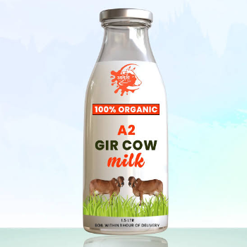 The Heartwarming Tale of Radhika and Her Quest for Pure Dairy