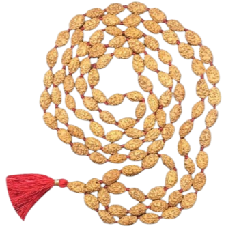Indonesia Rudraksha mala