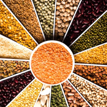Organic Pulses, Lentils & Beans