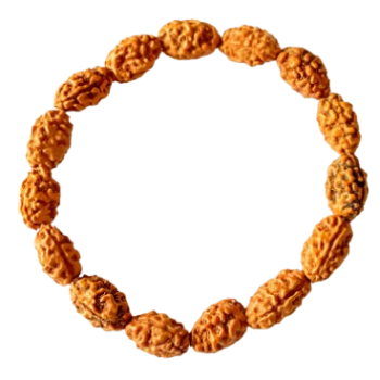 Indonesian Rudraksha Bracelet