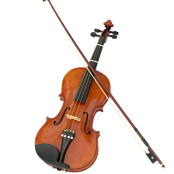 Violin