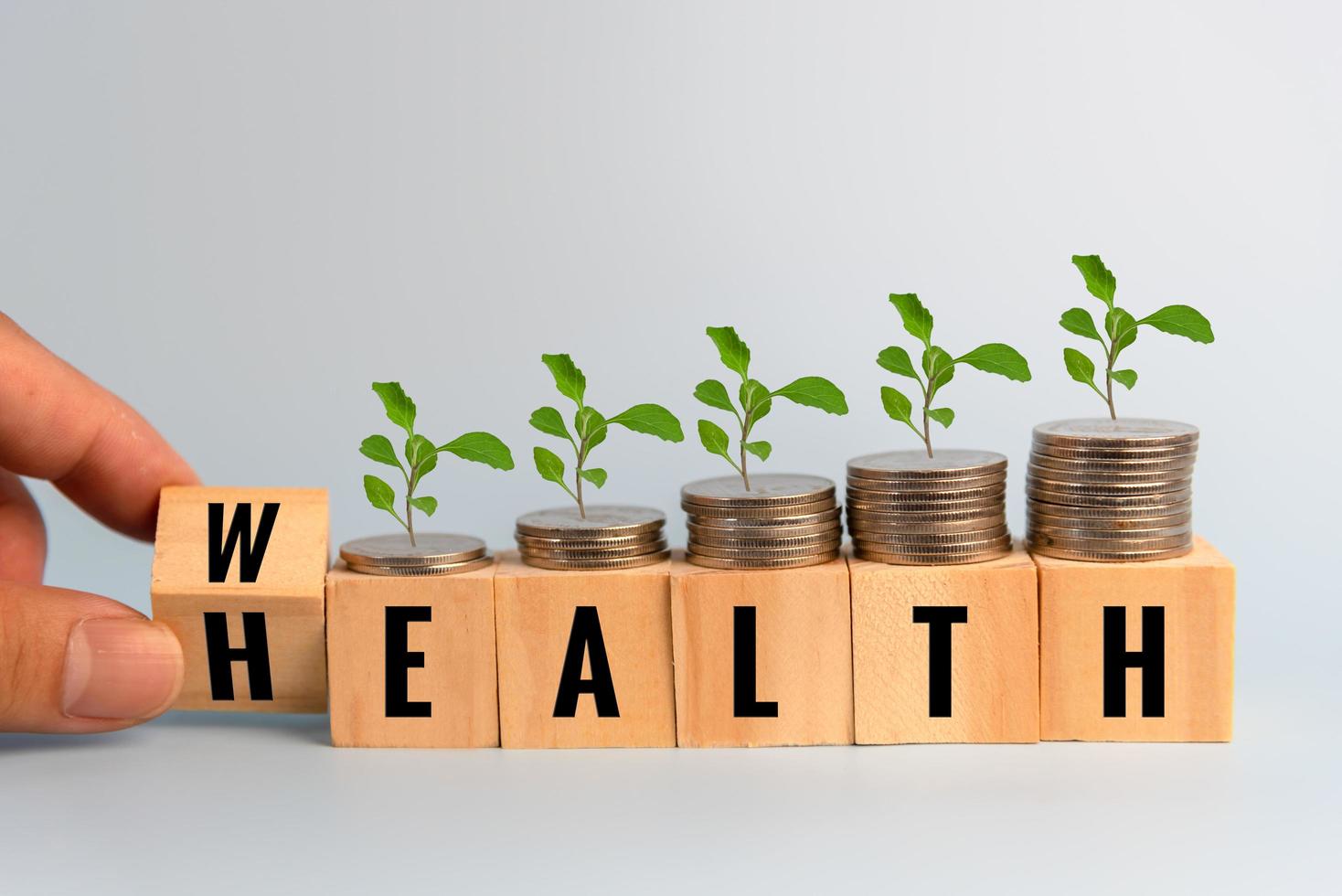 विघ्नहर्ता नवसंजीवनी