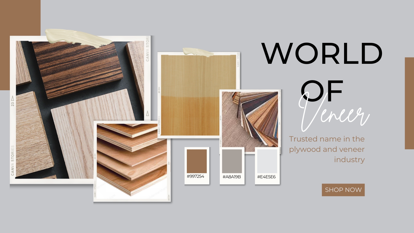 Banner World Of Veneer