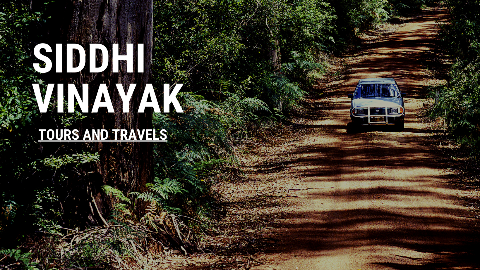 Siddhi Vinayak Tour And Travels