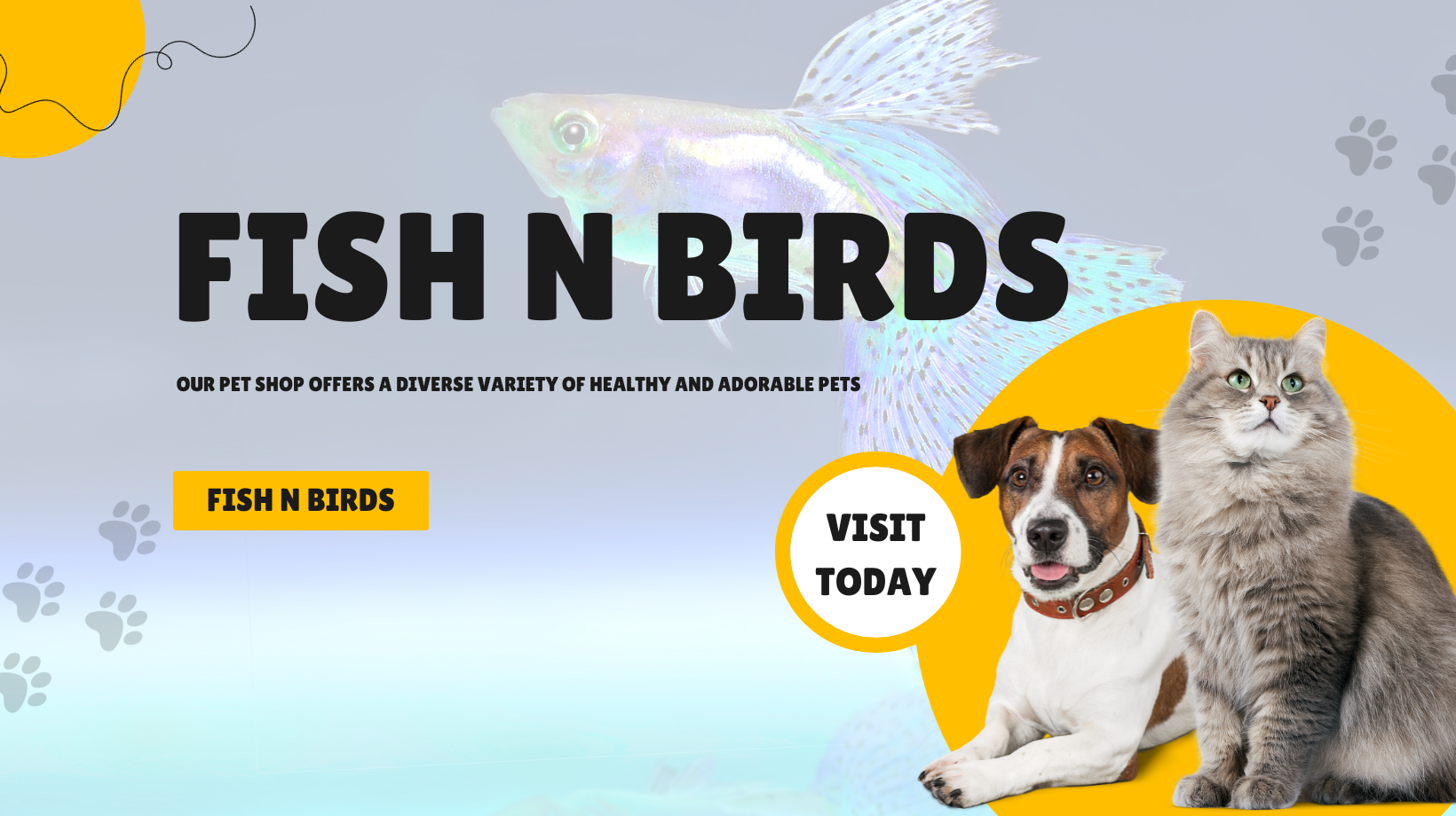 Banner Fish N Birds