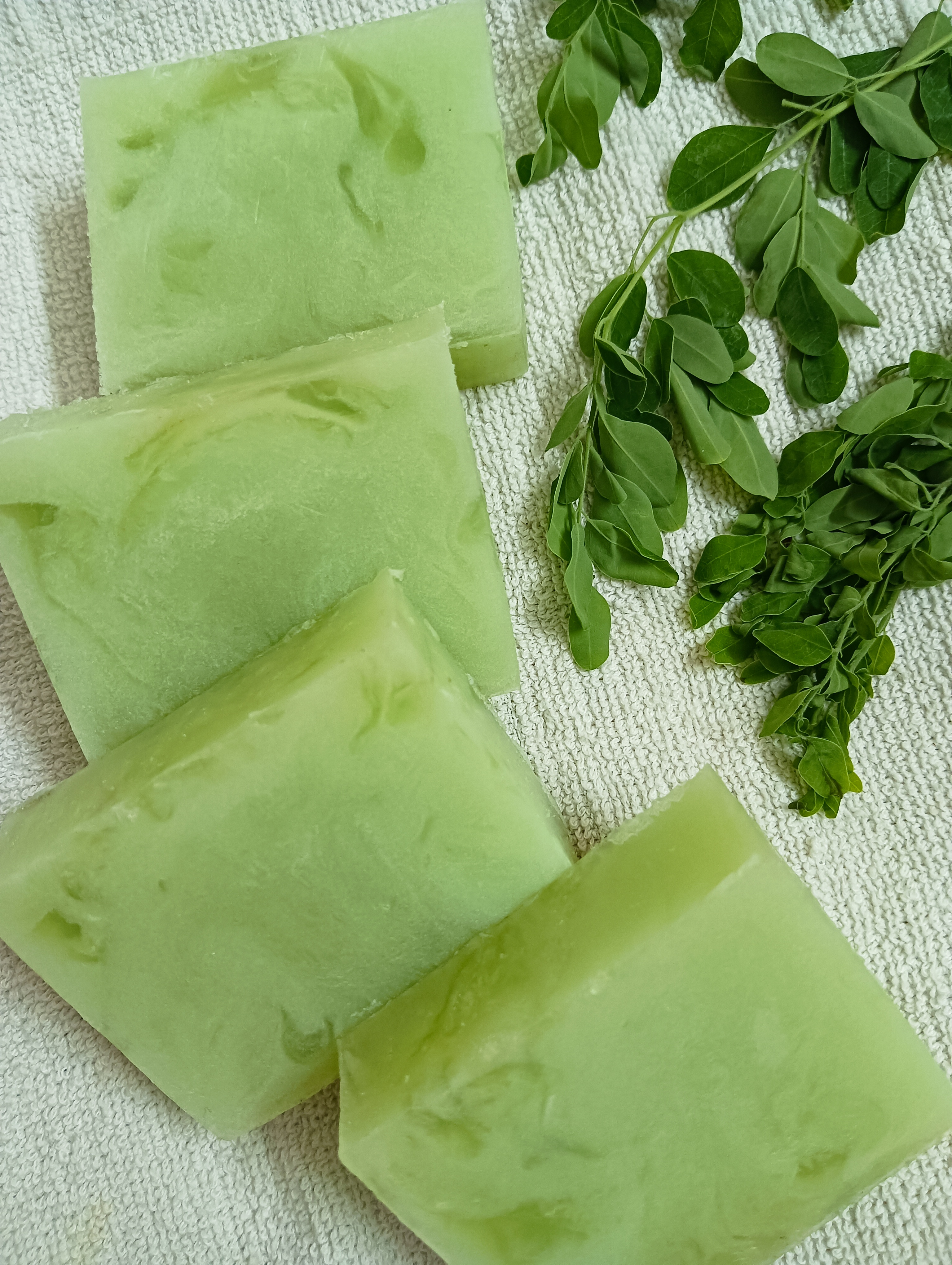 Banner Shyamrenu Enterprises LLP