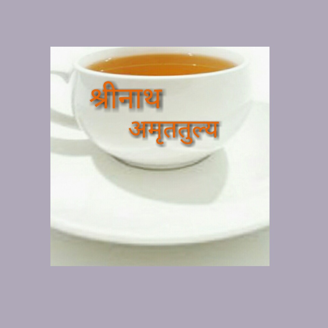 Banner Shrinath Pure Veg & South Indin Snacks & Amruttullya