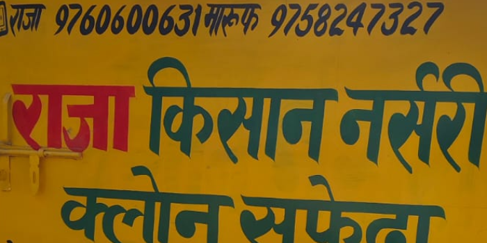 Banner Raja Kisan Narsery