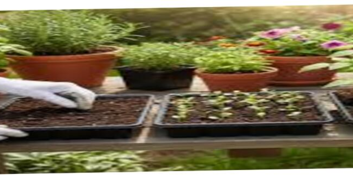 Banner Urban Gardener Vapi