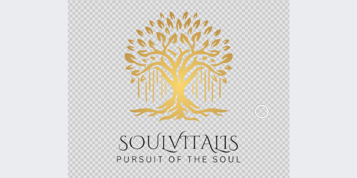 Banner Soulvitalis - Herbal And Ayurvedic Products Bangalore