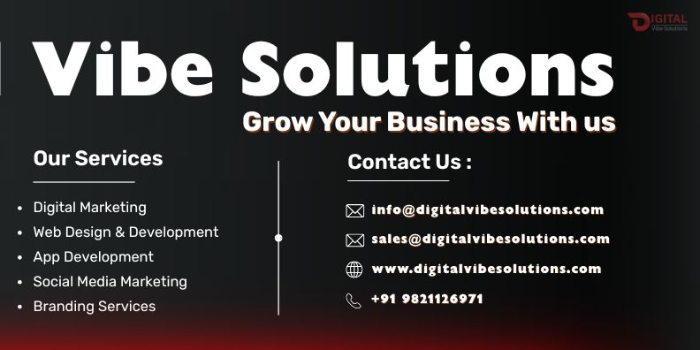 Banner Digital Vibe Solutions