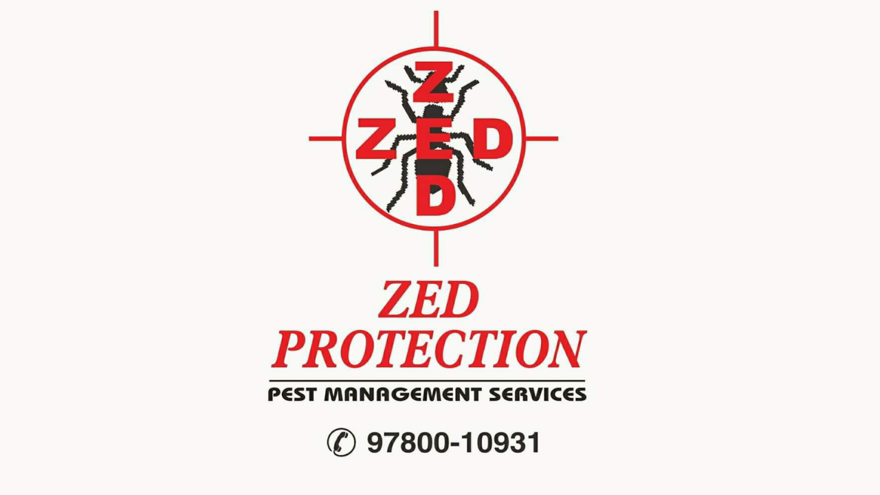 Banner Zed Protection Pest Management Services