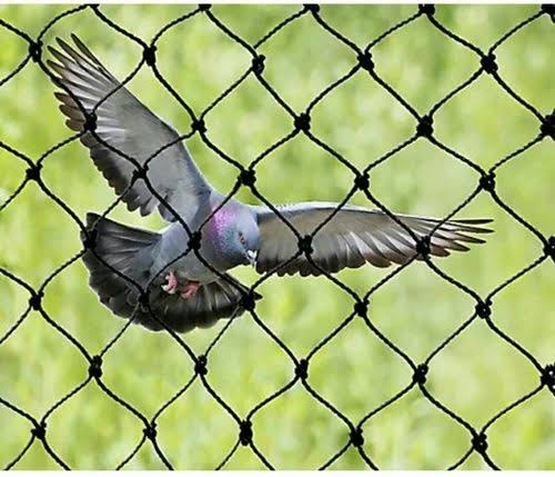 Banner Bird Netting Service