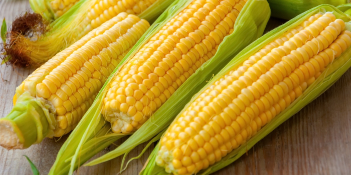 Banner CORNHUB