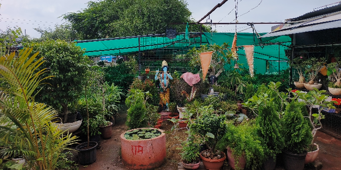 Shree Ganesh Nursery